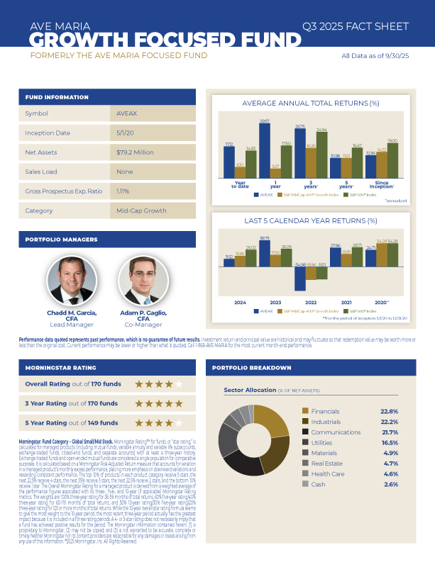 AVEAX Fact Sheet