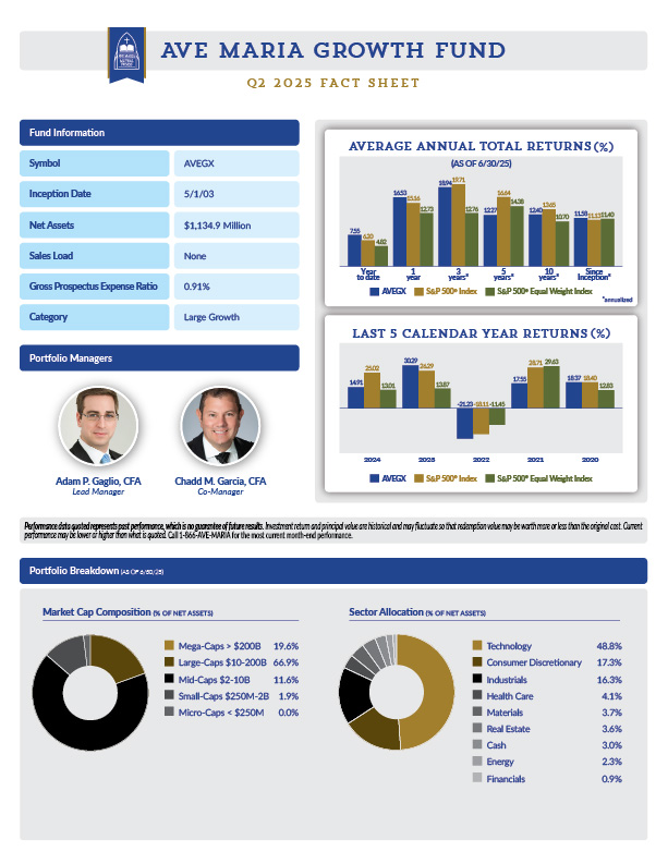 AVEGX Fact Sheet