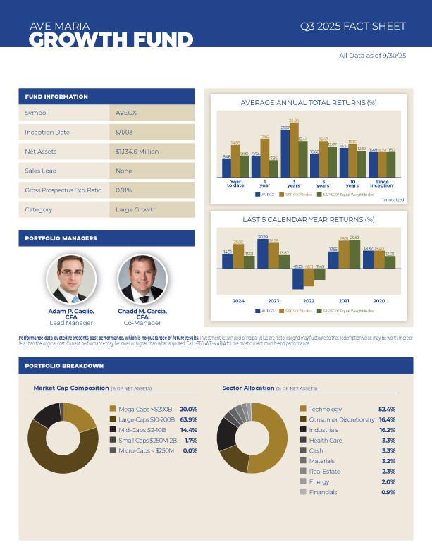 AVEGX Fact Sheet