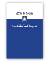 2020 Semi-Annual Report